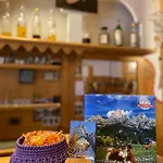 Garni Ladinia Otel 3*