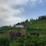 Garni Ladinia