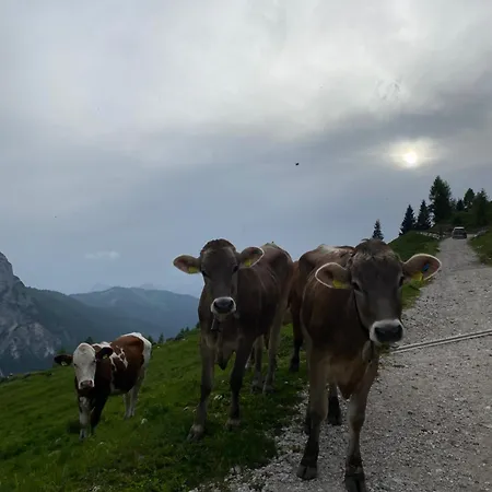 Garni Ladinia ホテル 3*