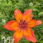 Garni Ladinia Отель 3*