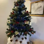 Отель Garni Ladinia Пескуль