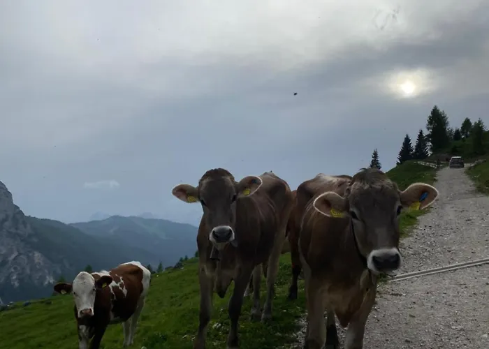 Garni Ladinia Hotel 3*