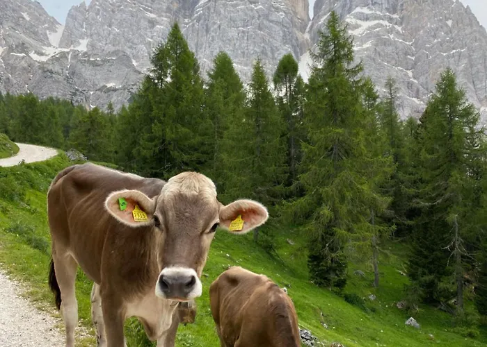 Garni Ladinia 3* Pescul